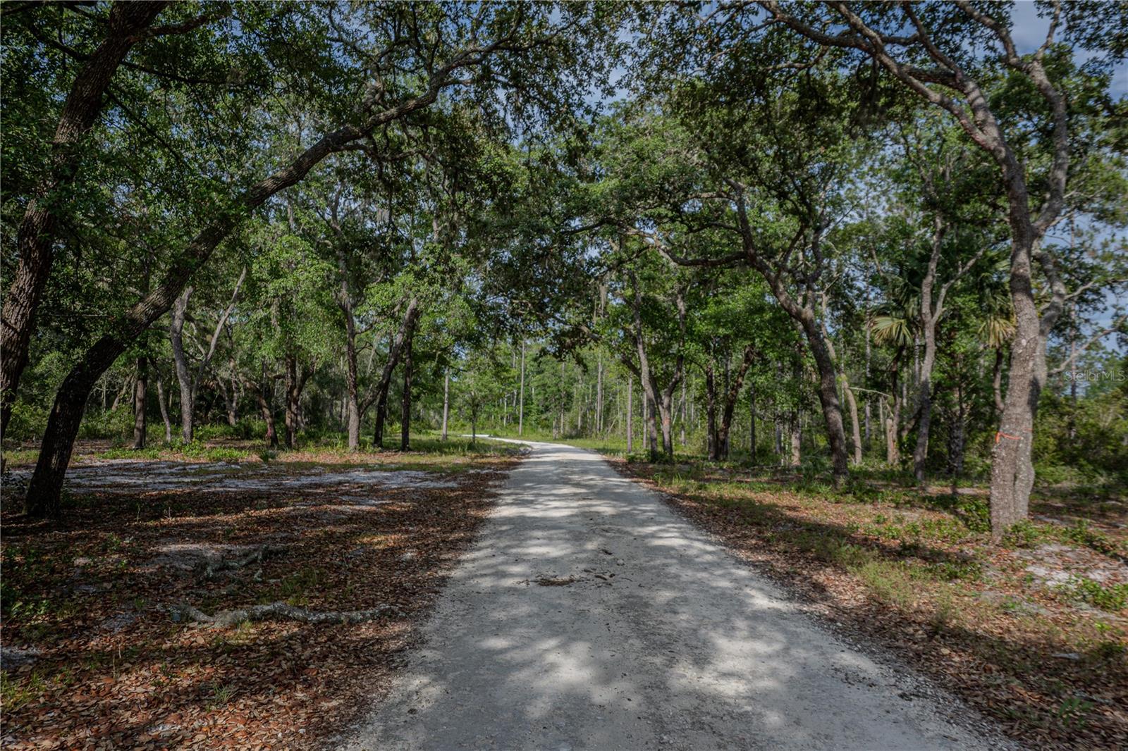 NE 150TH AVE RD #LOT 3, FORT MC COY, FL — photo 48