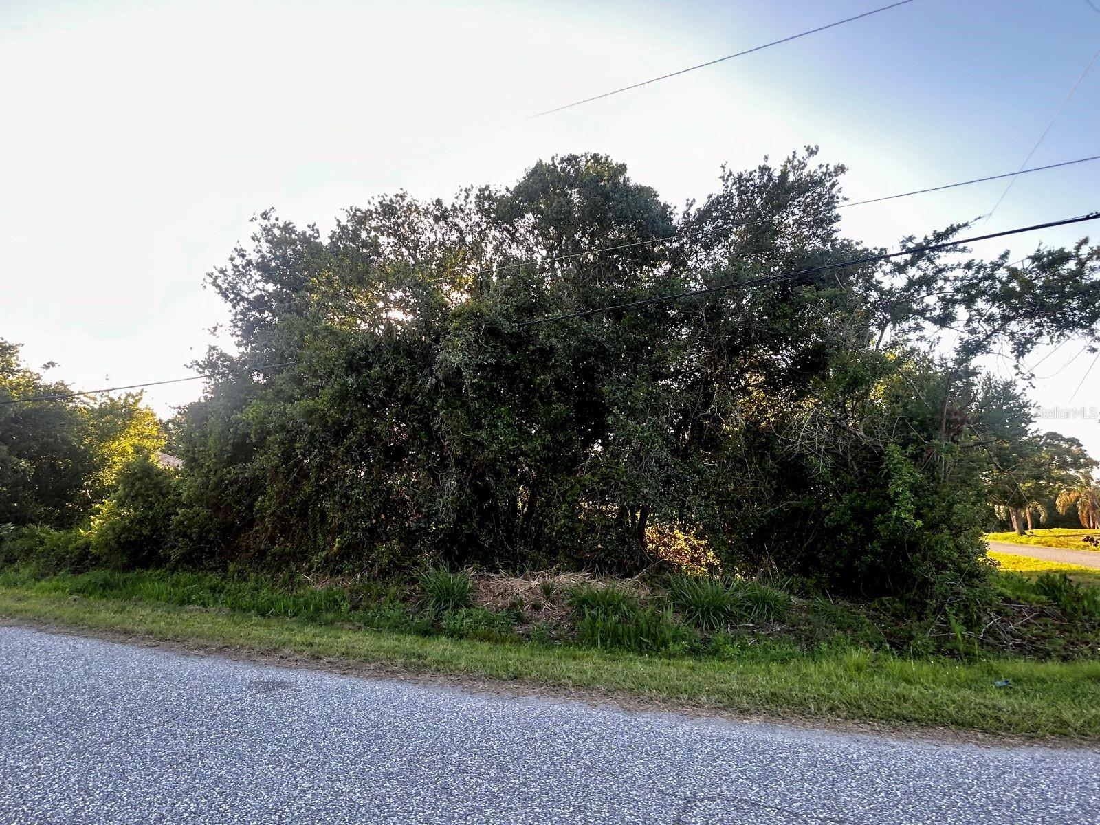 LOT 12 TOPEKA LN, NORTH PORT, FL — photo 4