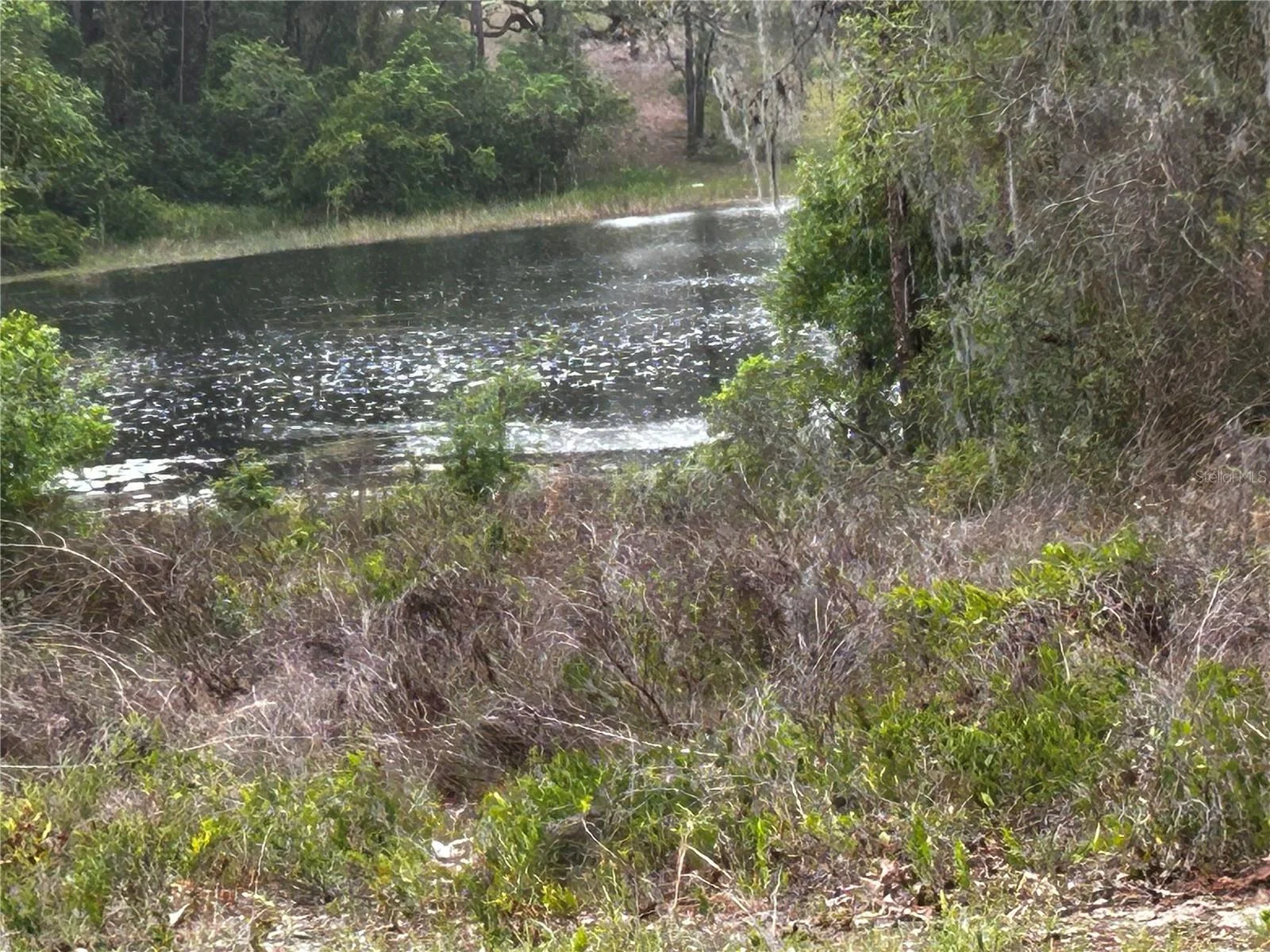 TBD SE 52ND PL, OCKLAWAHA, FL — photo 4