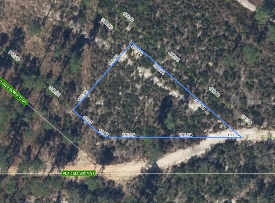 6115 PEAR BLOSSOM ST, SEBRING, FL