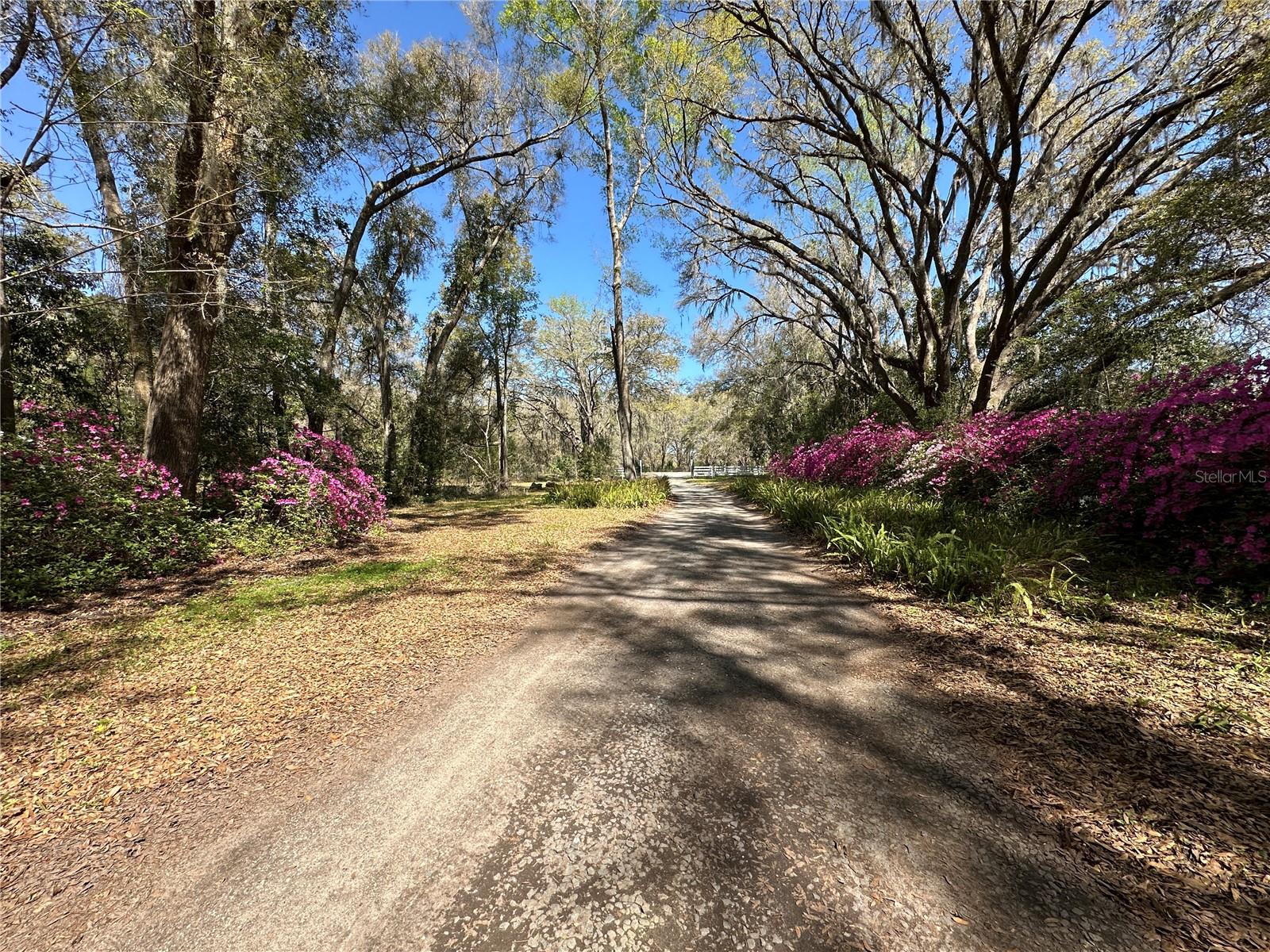 5050 W HIGHWAY 326, OCALA, FL — photo 2