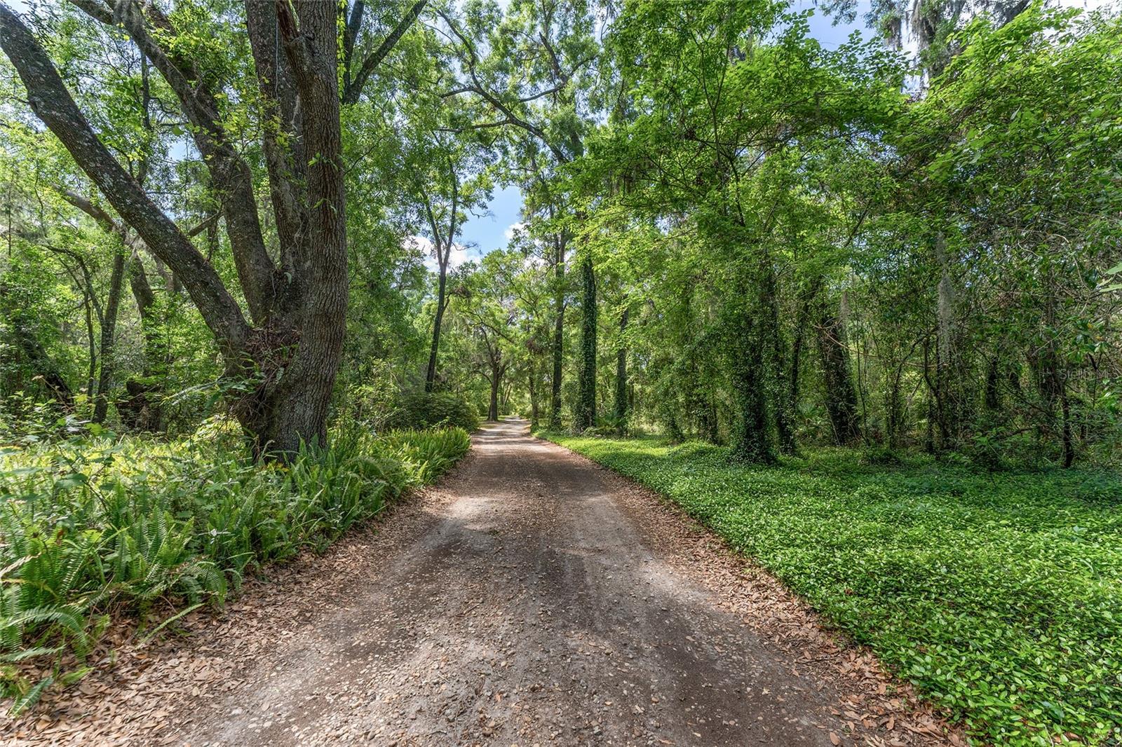 5050 W HIGHWAY 326, OCALA, FL — photo 9