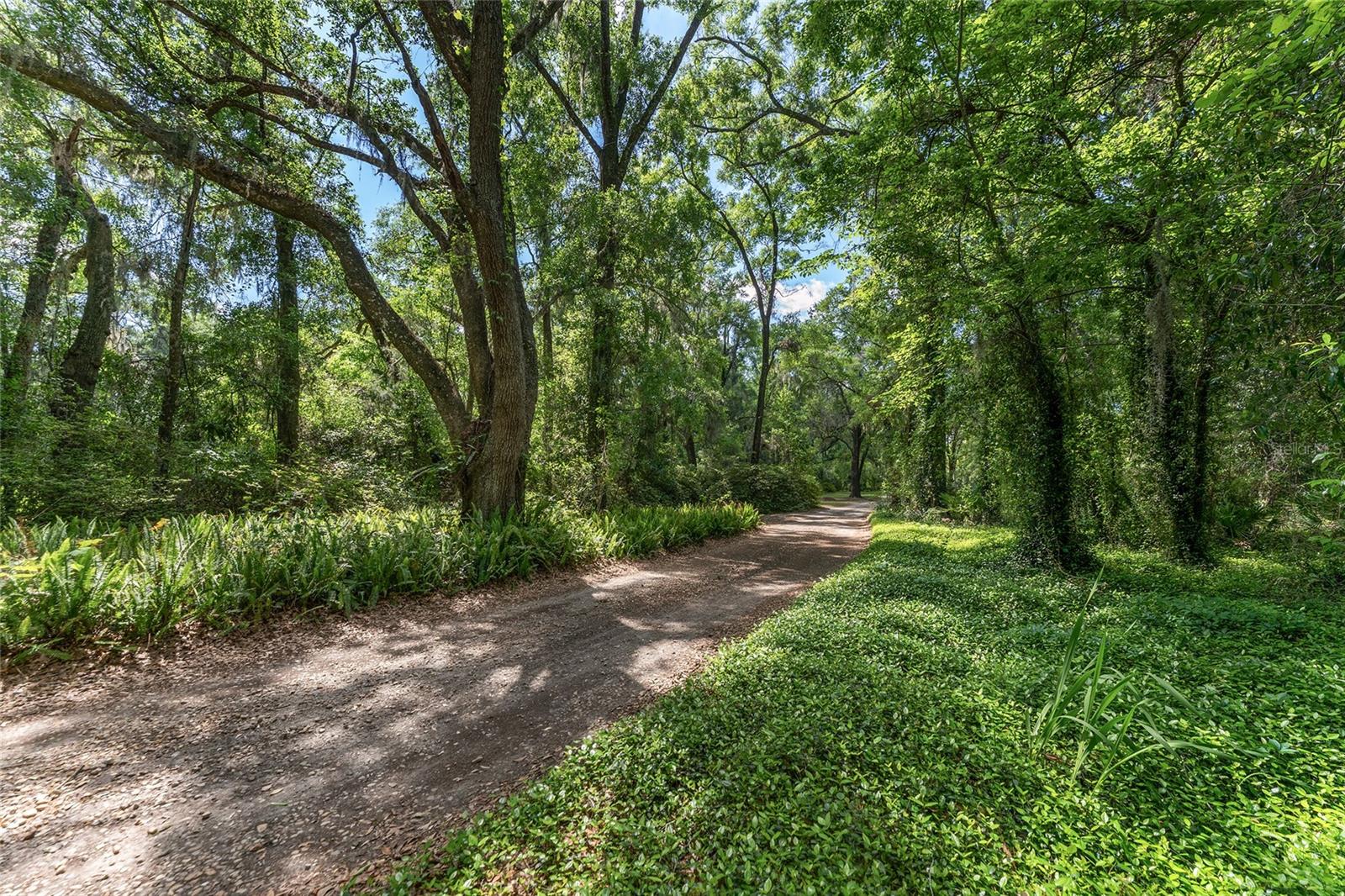 5050 W HIGHWAY 326, OCALA, FL — photo 10