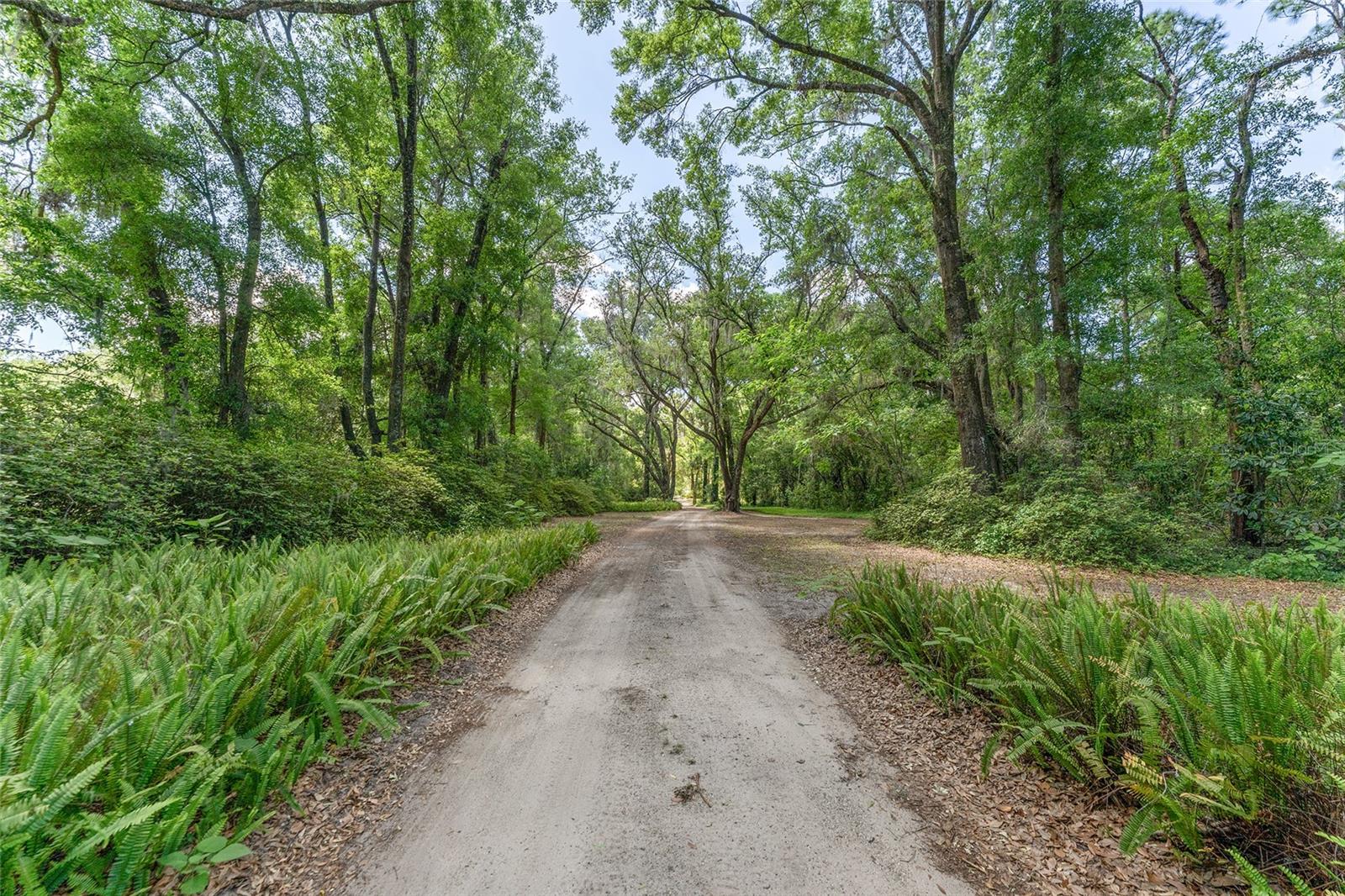 5050 W HIGHWAY 326, OCALA, FL — photo 51