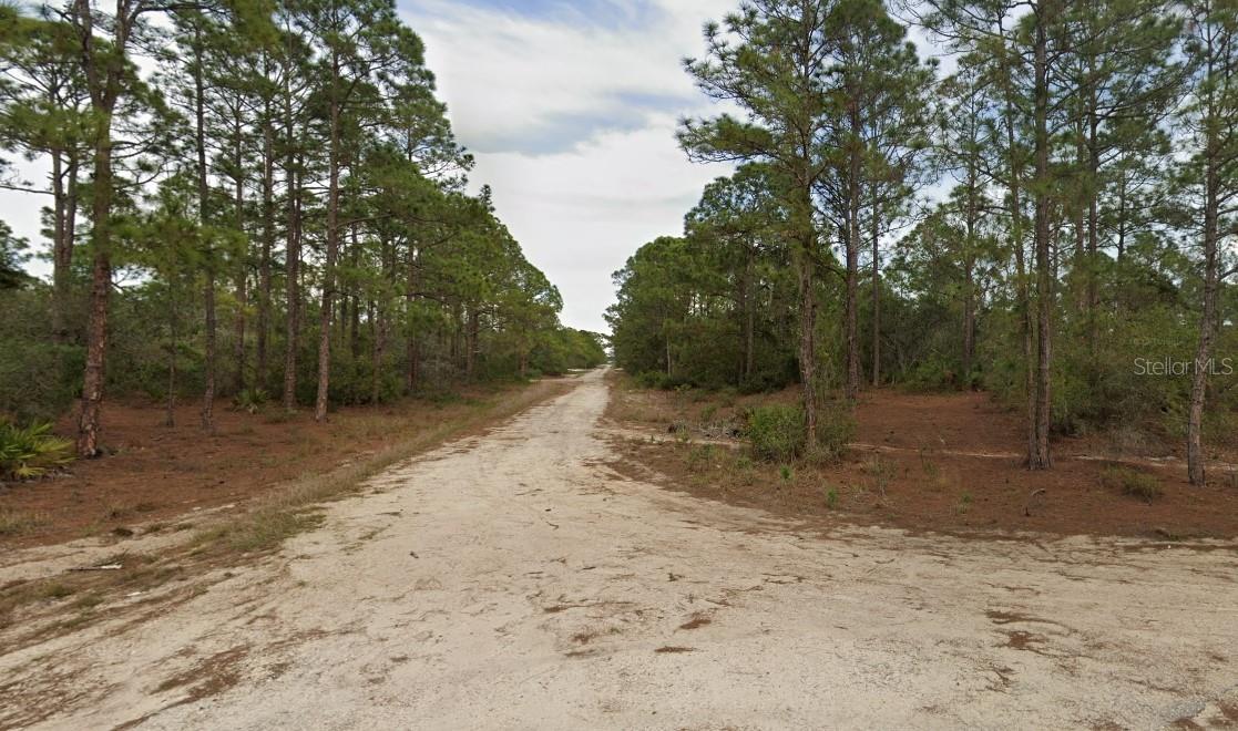 401 WIND ROSE AVE, LAKE PLACID, FL — photo 5