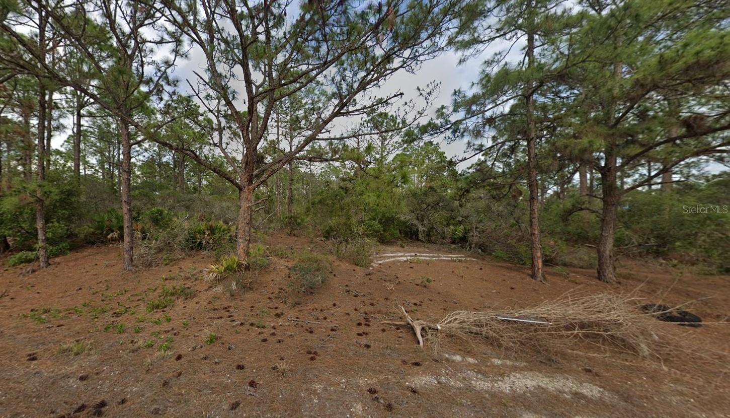 401 WIND ROSE AVE, LAKE PLACID, FL — photo 7