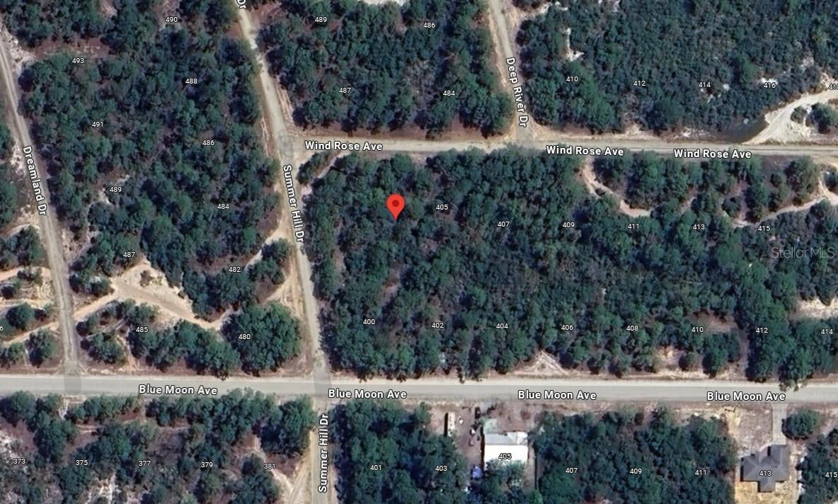 401 WIND ROSE AVE, LAKE PLACID, FL