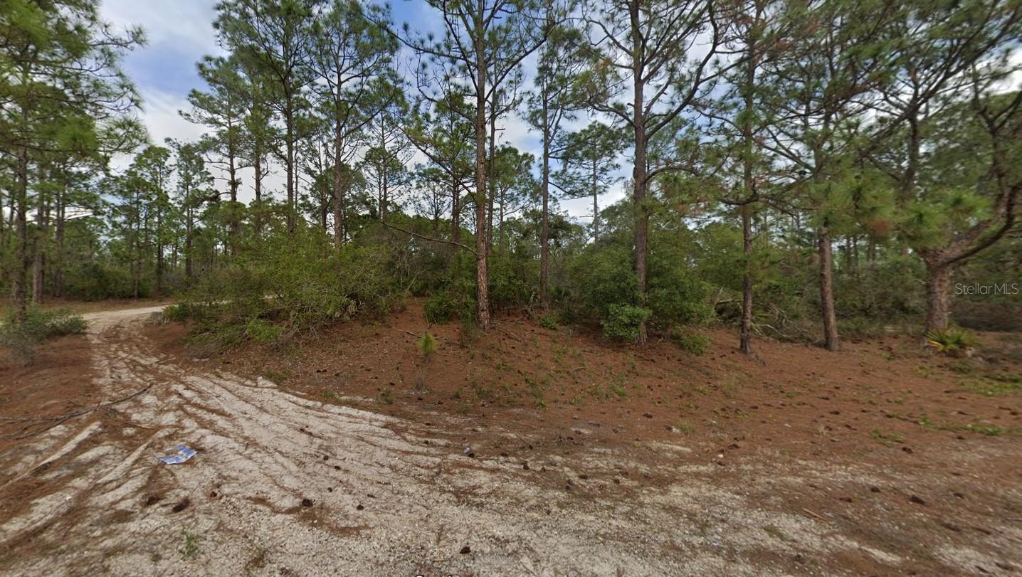 401 WIND ROSE AVE, LAKE PLACID, FL — photo 6