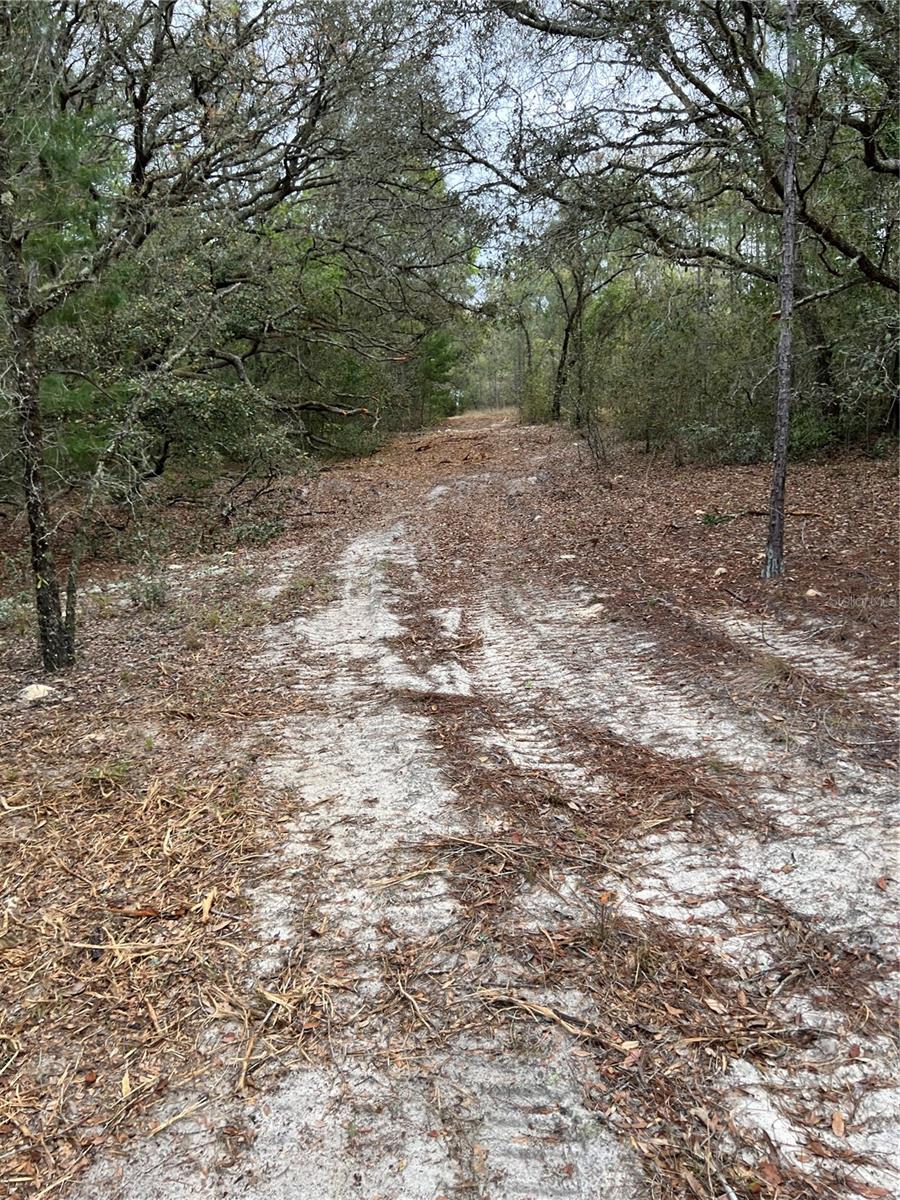 4625-4651 W KELLY PARK RD, APOPKA, FL — photo 4