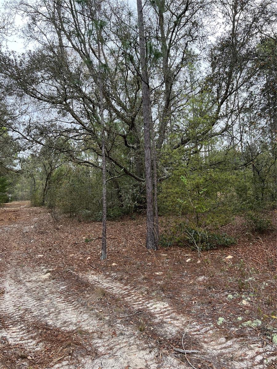 4625-4651 W KELLY PARK RD, APOPKA, FL — photo 5
