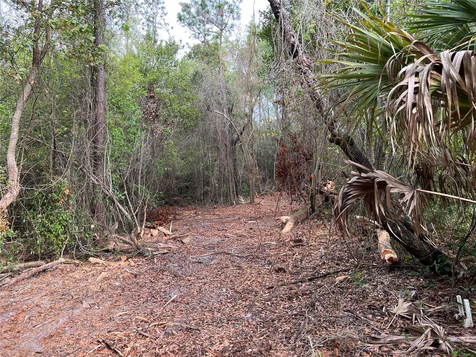 4625-4651 W KELLY PARK RD, APOPKA, FL — photo 11