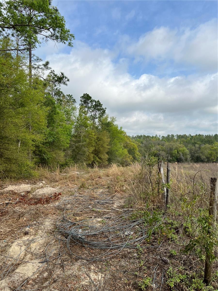4625-4651 W KELLY PARK RD, APOPKA, FL — photo 13
