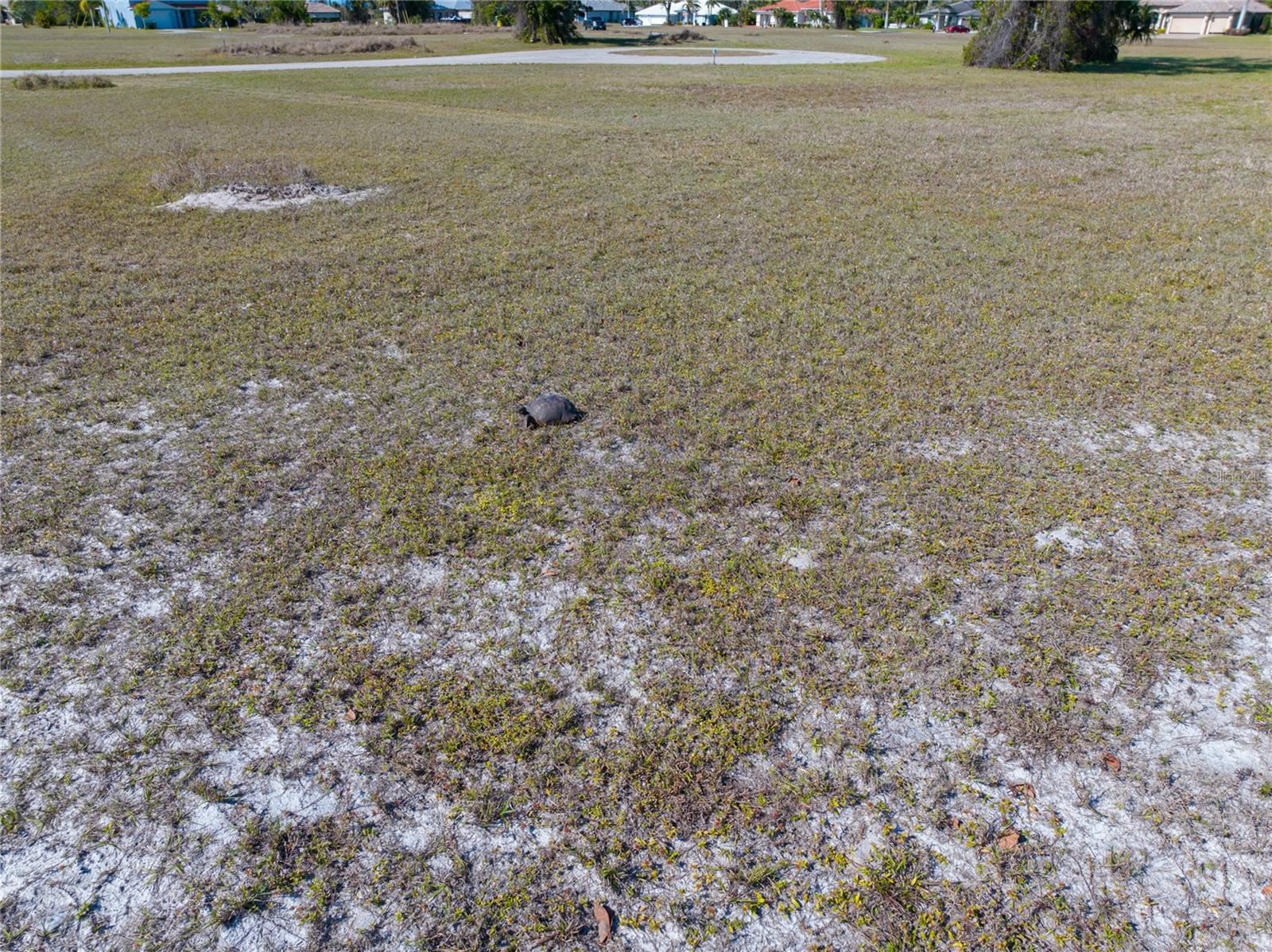 17154 SUGAR CT, PUNTA GORDA, FL — photo 2