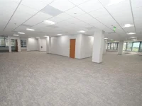 225 E ROBINSON ST — photo 12