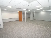 225 E ROBINSON ST — photo 13