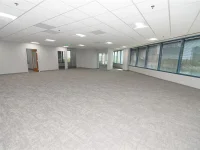 225 E ROBINSON ST — photo 16