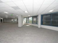225 E ROBINSON ST — photo 31
