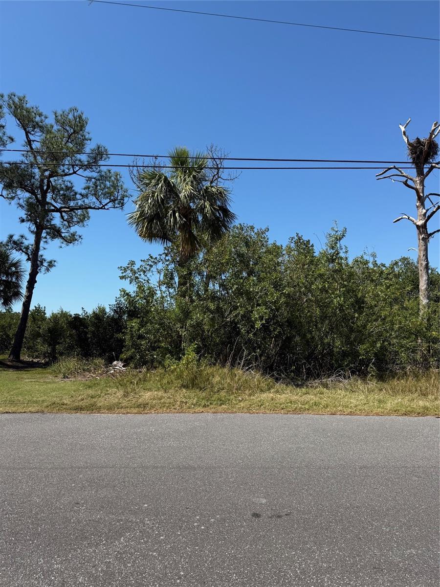 SEA BREEZE DR, TARPON SPRINGS, FL — photo 2