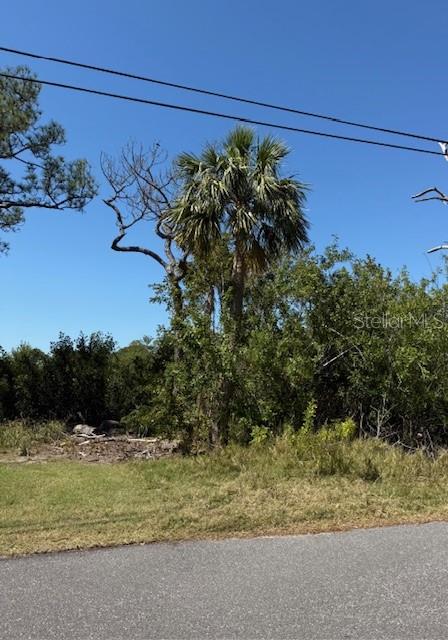 SEA BREEZE DR, TARPON SPRINGS, FL — photo 3