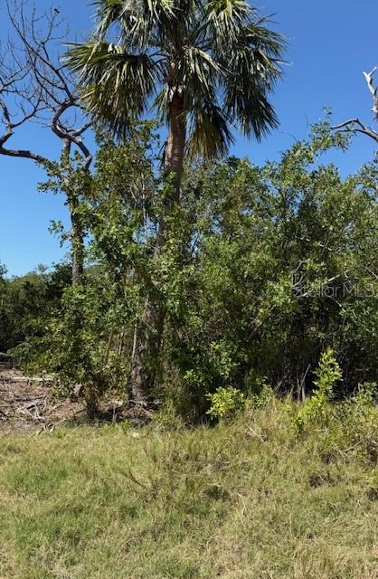SEA BREEZE DR, TARPON SPRINGS, FL — photo 4