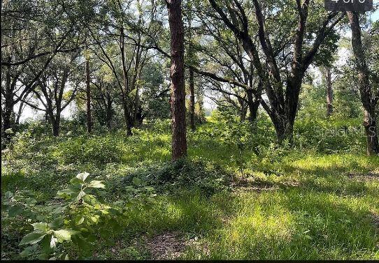 SR-19, GROVELAND, FL — photo 19