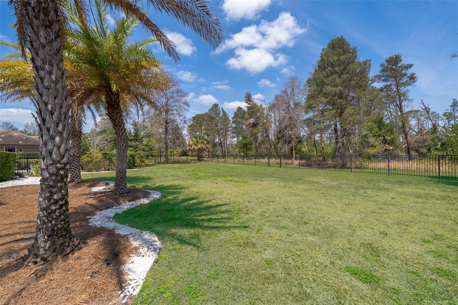 16020 PENDIO DR, BELLA COLLINA, FL — photo 102