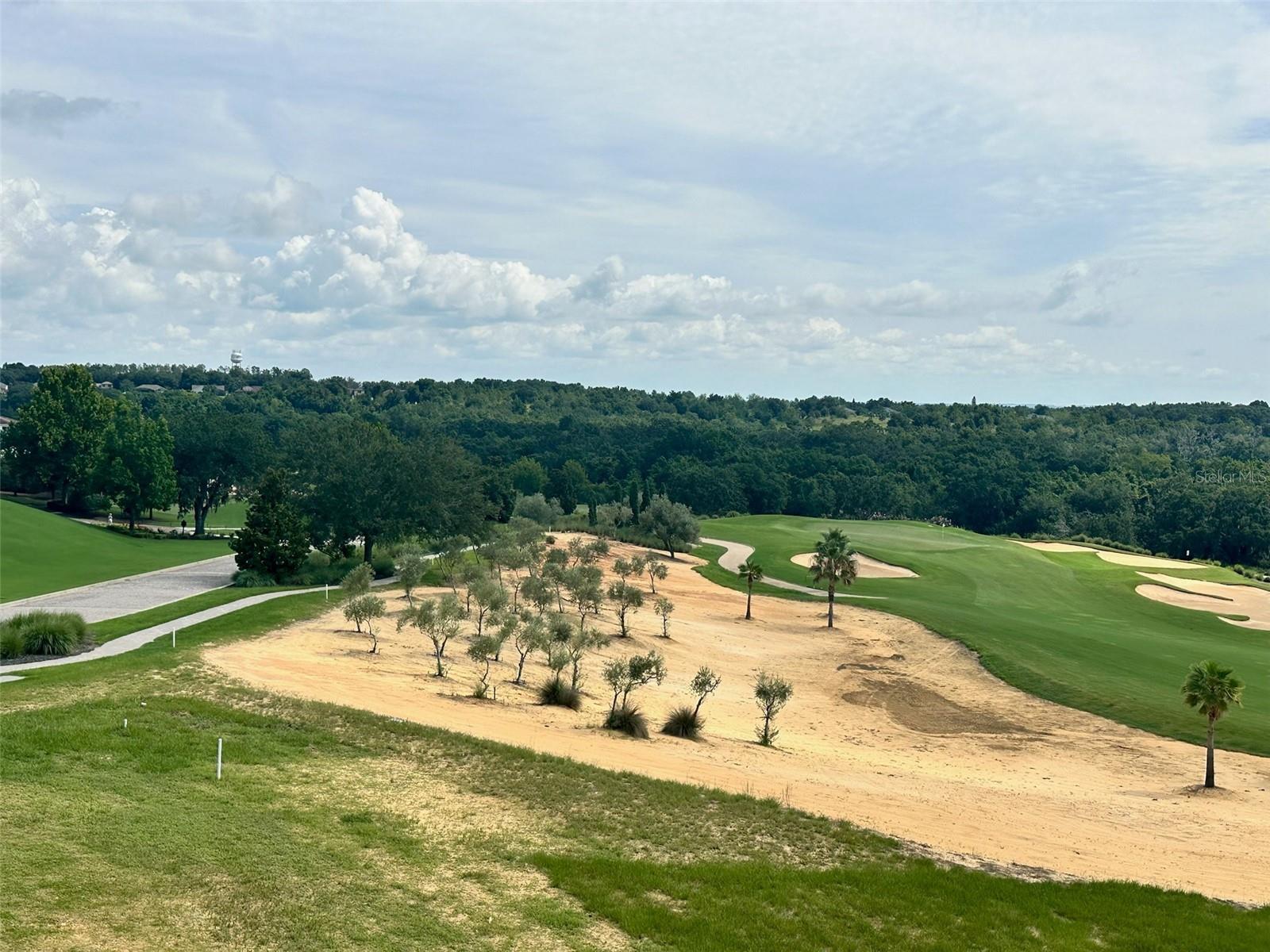 16142 TRIVOLI CIR, MONTVERDE, FL — photo 110
