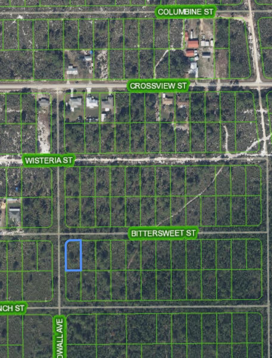 629 GADWALL AVE, LAKE PLACID, FL — photo 4