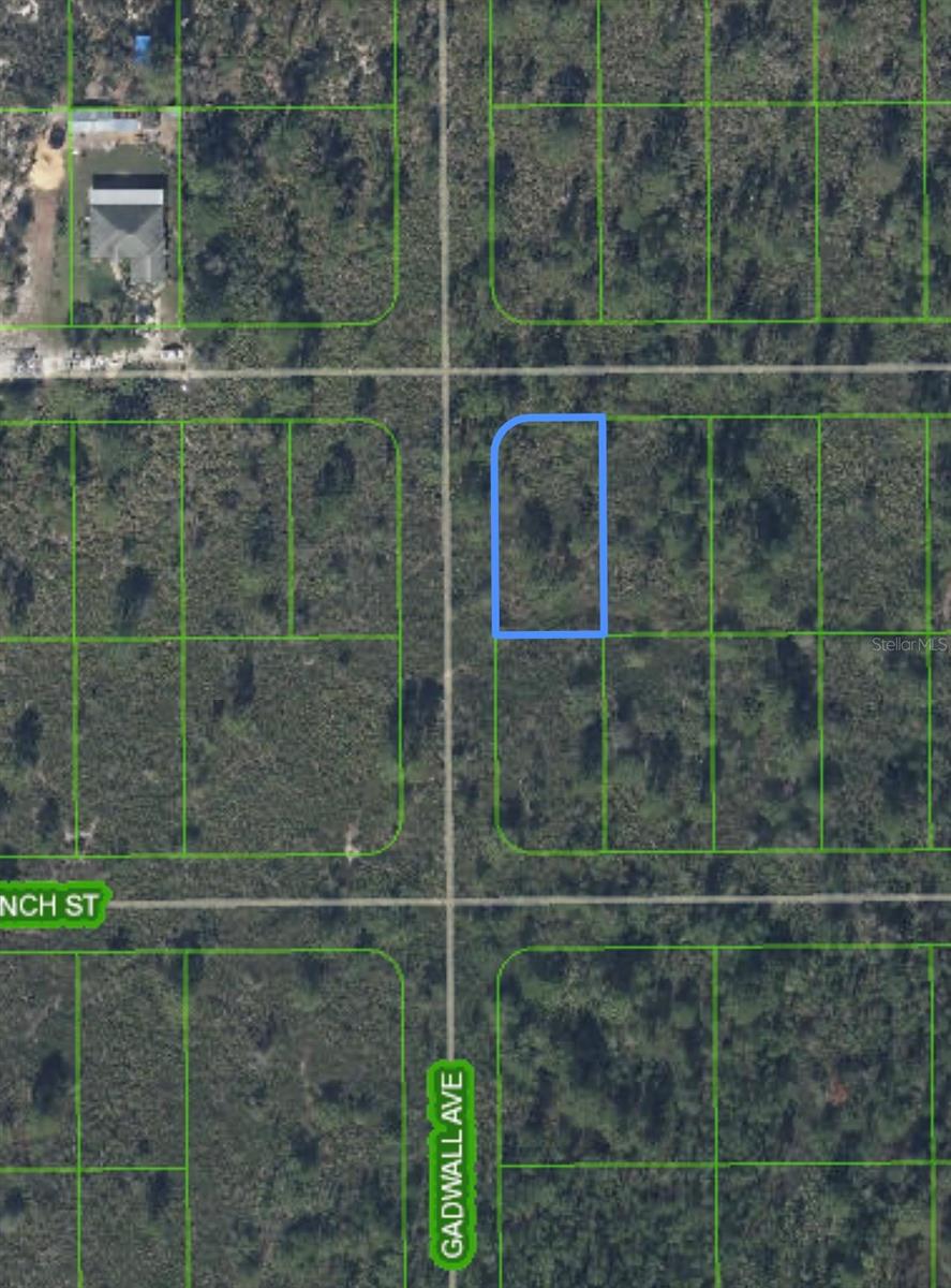 629 GADWALL AVE, LAKE PLACID, FL — photo 5