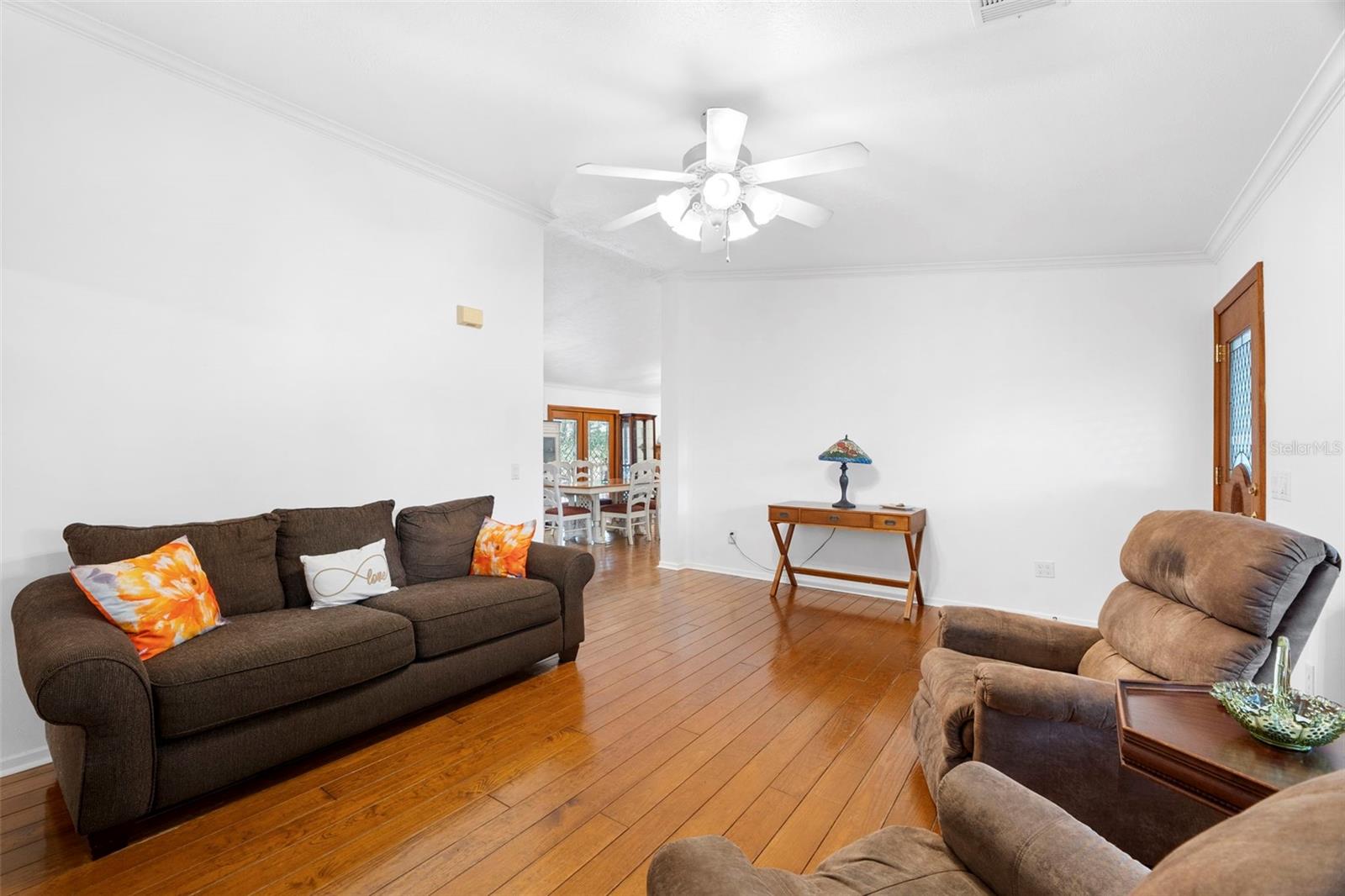 13015 ELM ST, ODESSA, FL — photo 3