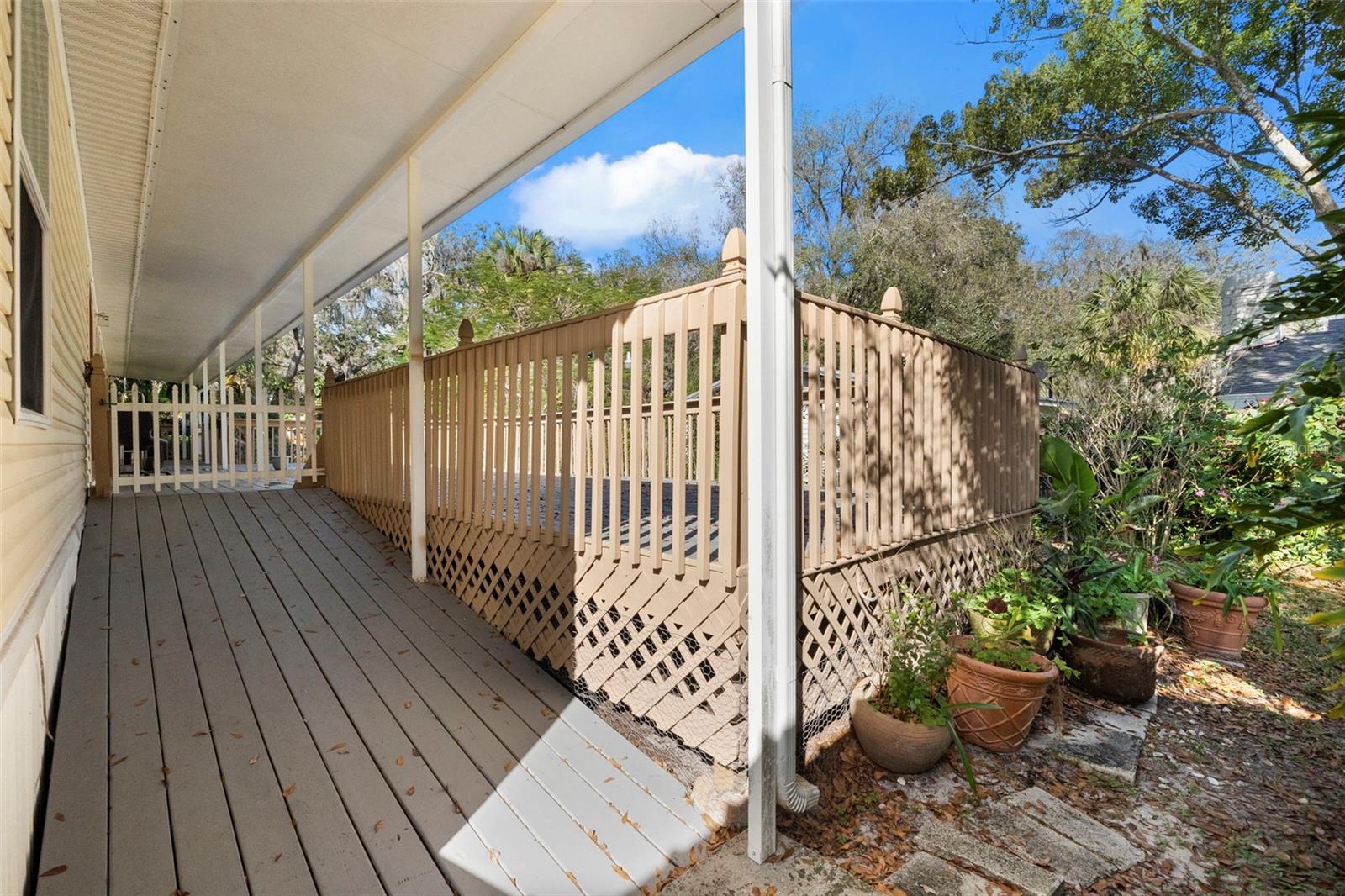 13015 ELM ST, ODESSA, FL — photo 22