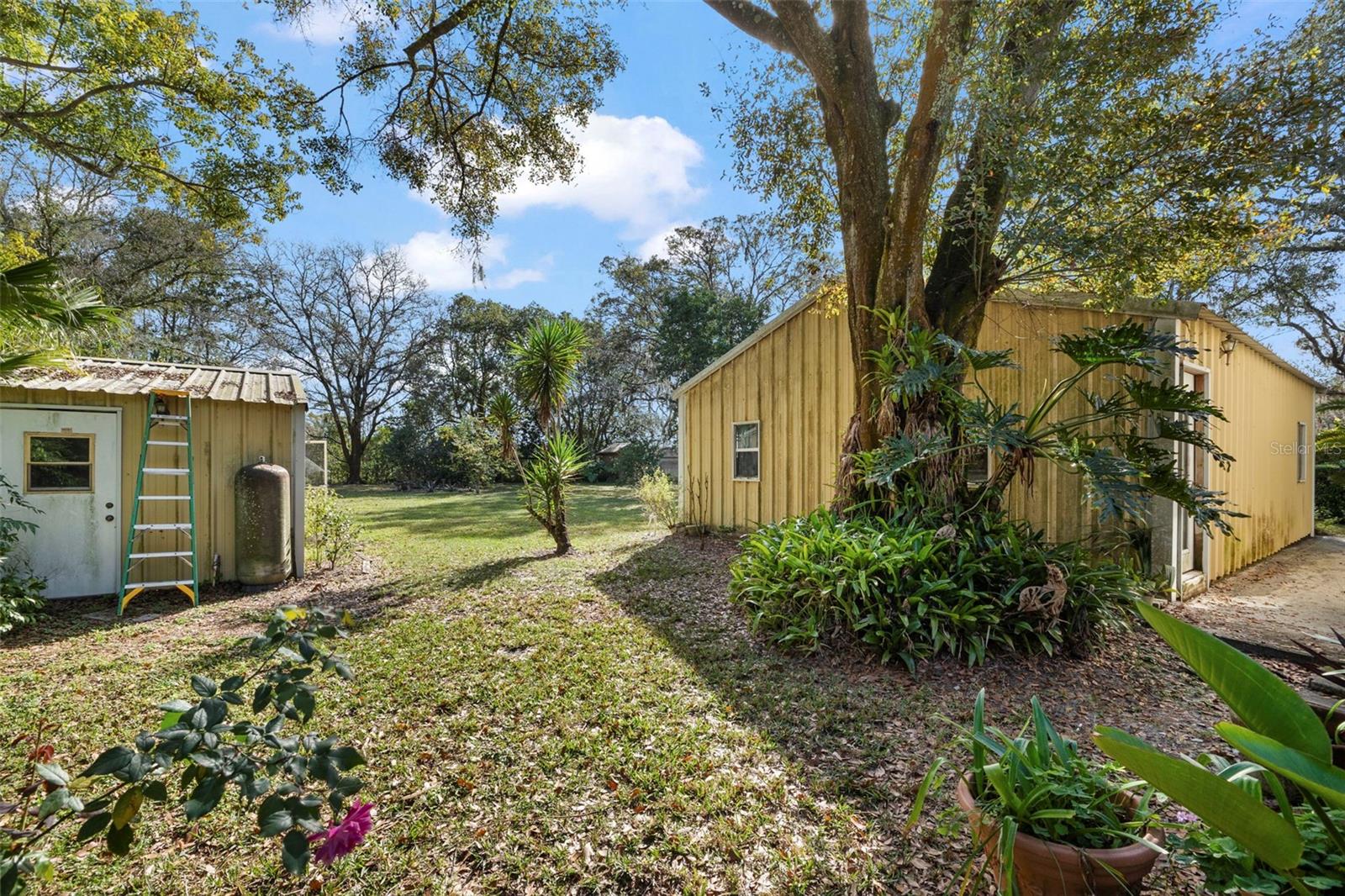 13015 ELM ST, ODESSA, FL — photo 26