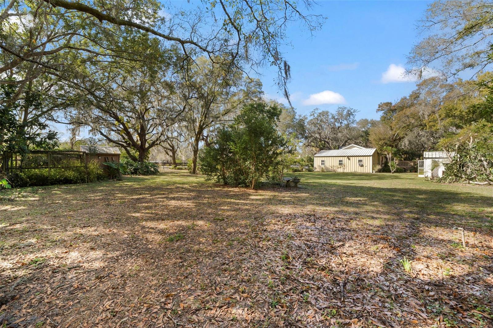 13015 ELM ST, ODESSA, FL — photo 28