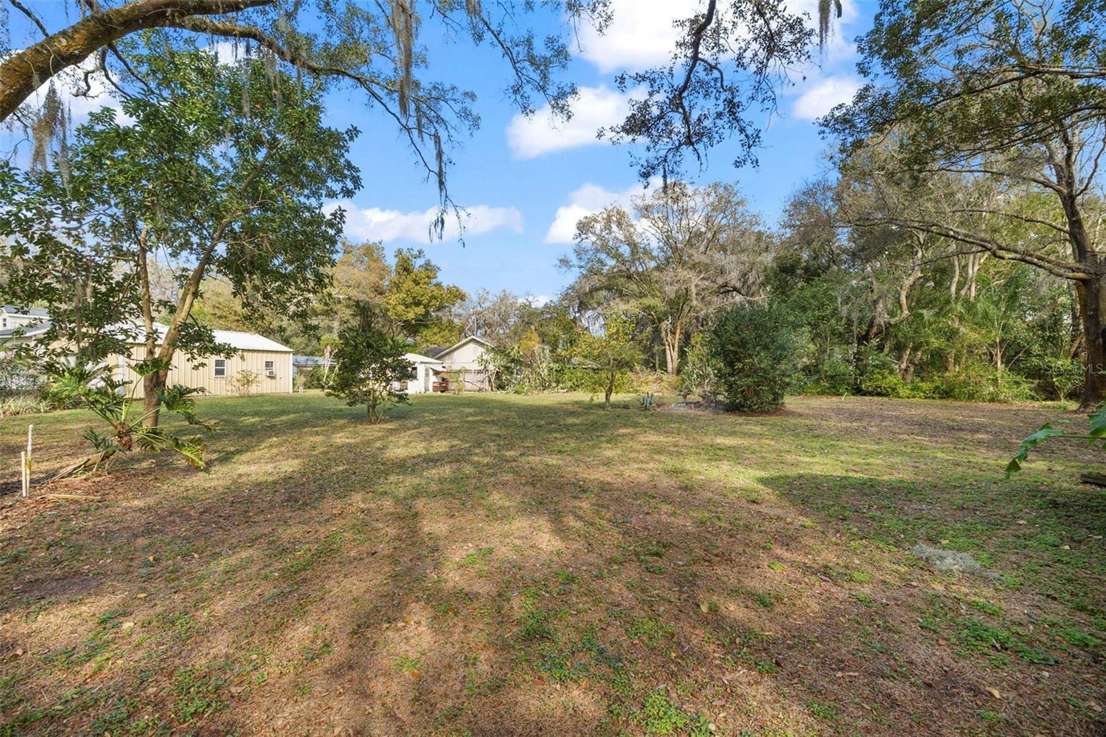 13015 ELM ST, ODESSA, FL — photo 29