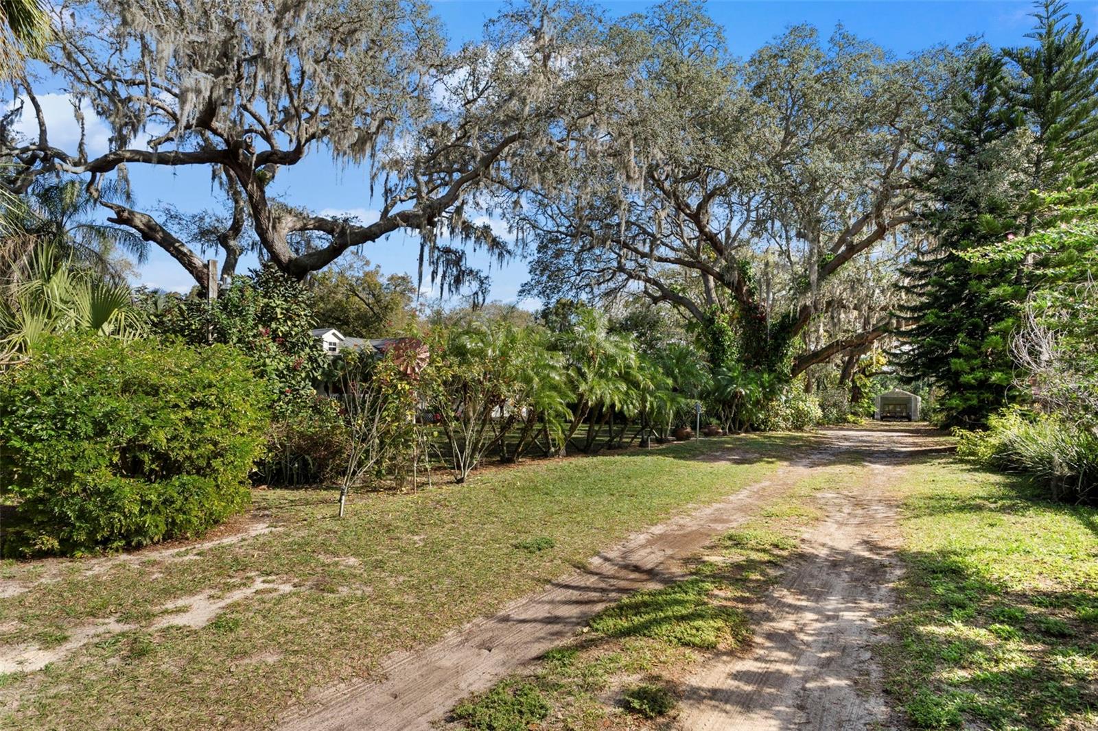 13015 ELM ST, ODESSA, FL — photo 30