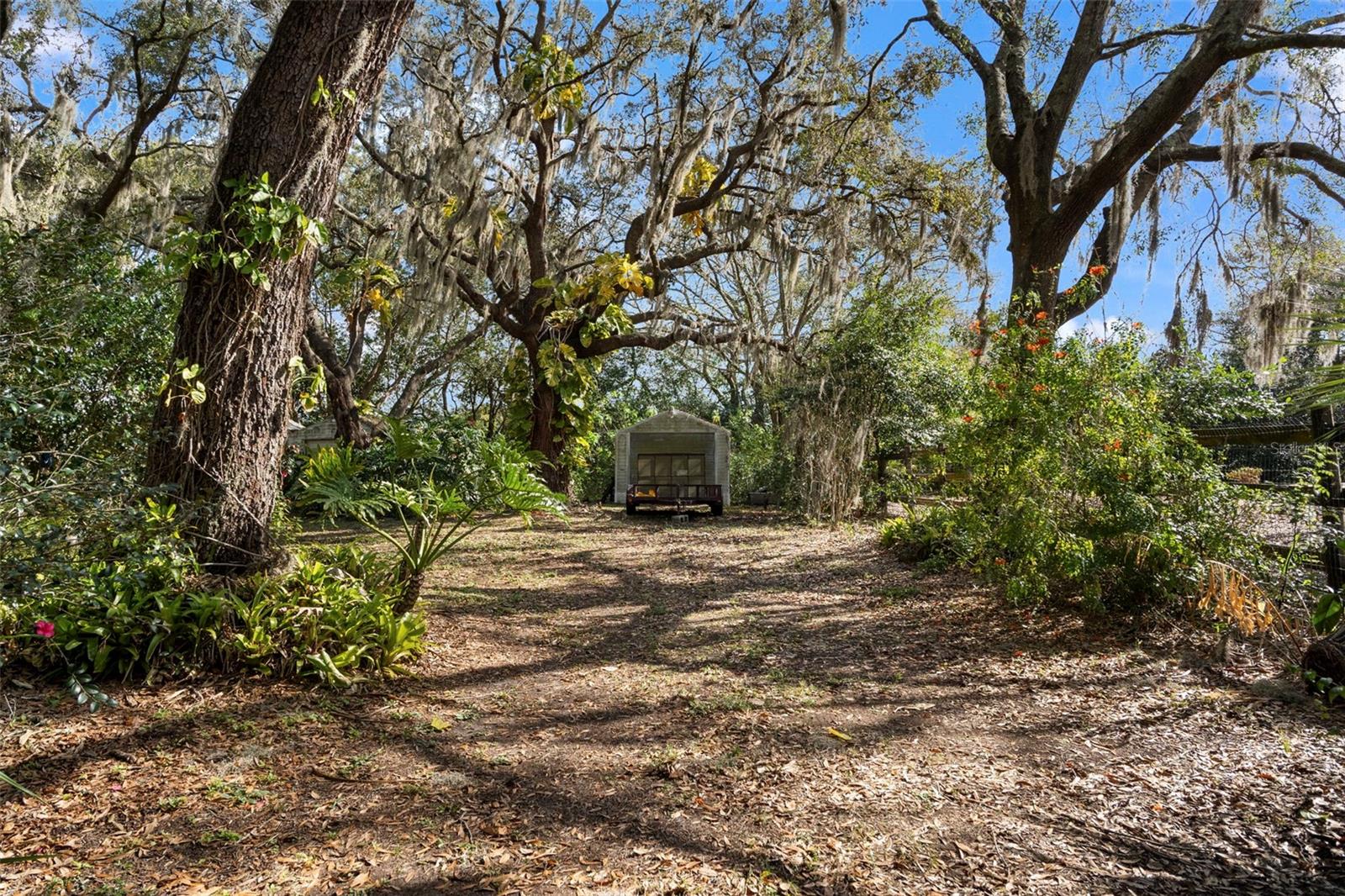 13015 ELM ST, ODESSA, FL — photo 33