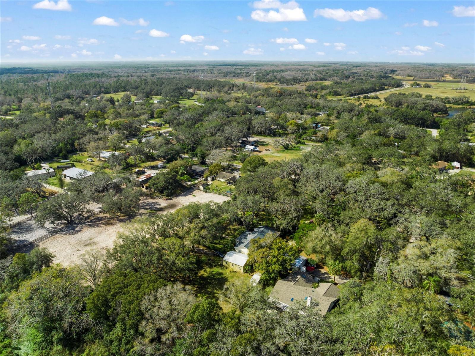 13015 ELM ST, ODESSA, FL — photo 37