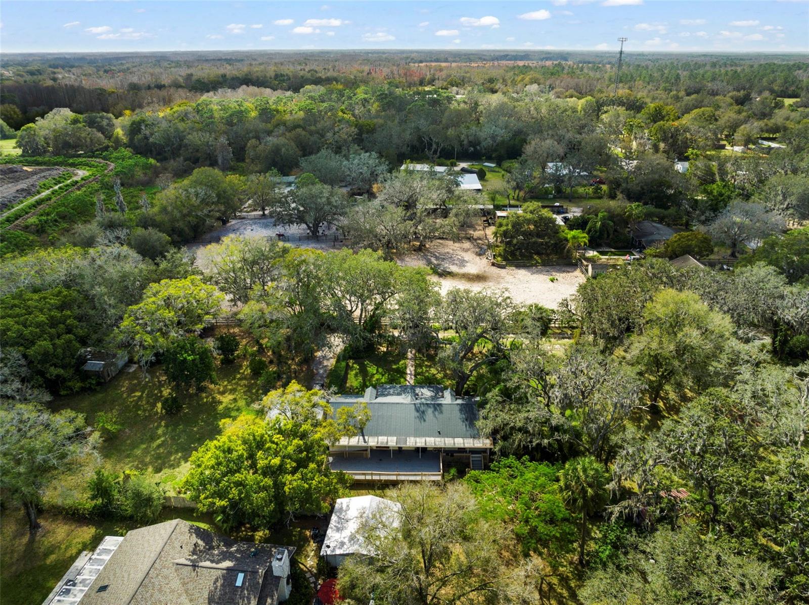 13015 ELM ST, ODESSA, FL — photo 41