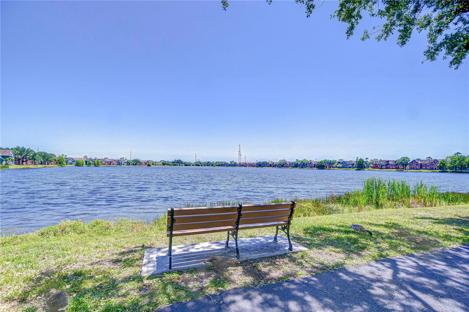 9304 LAKE CHASE ISLAND WAY, TAMPA, FL — photo 5