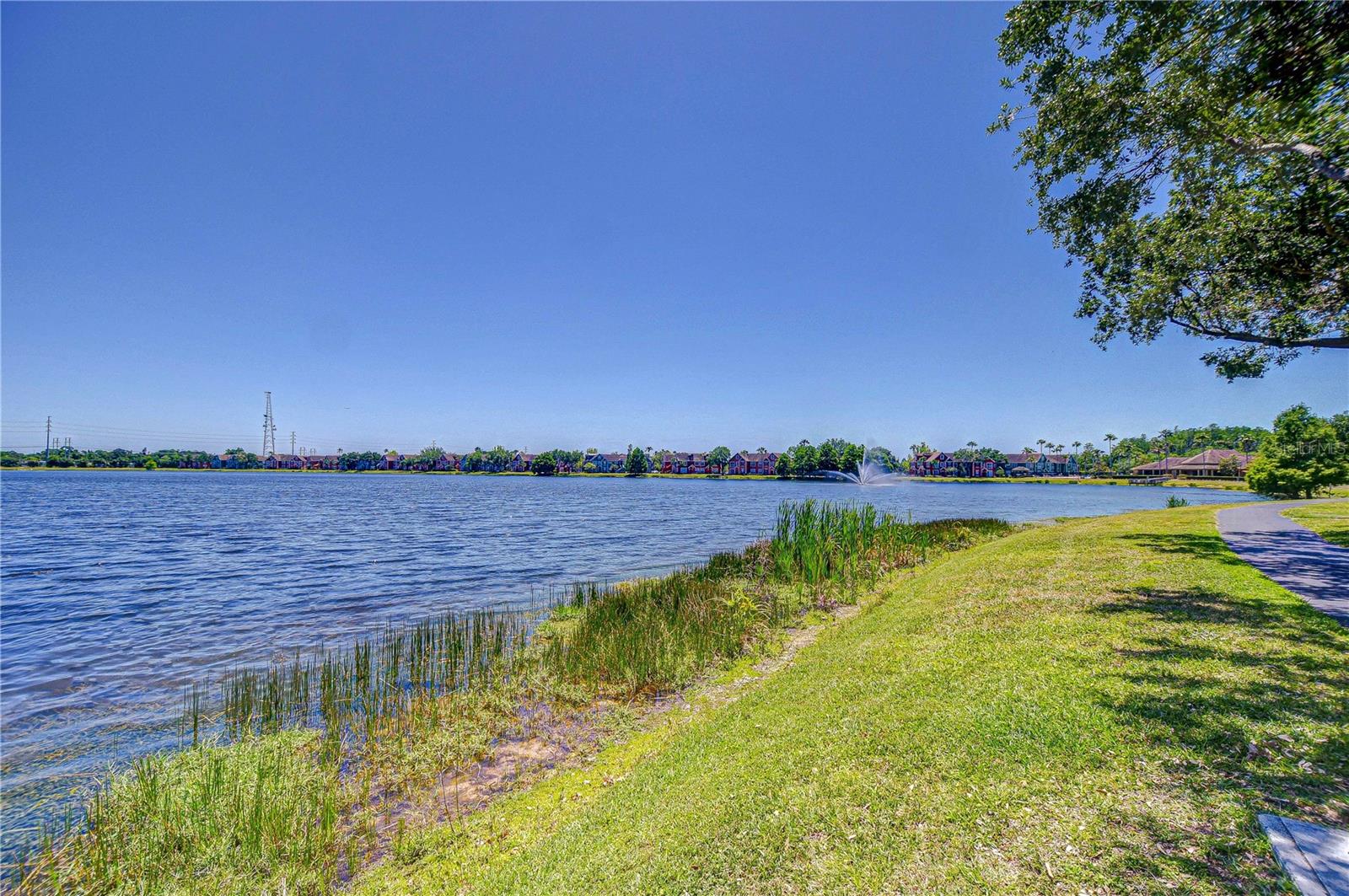 9304 LAKE CHASE ISLAND WAY, TAMPA, FL — photo 7