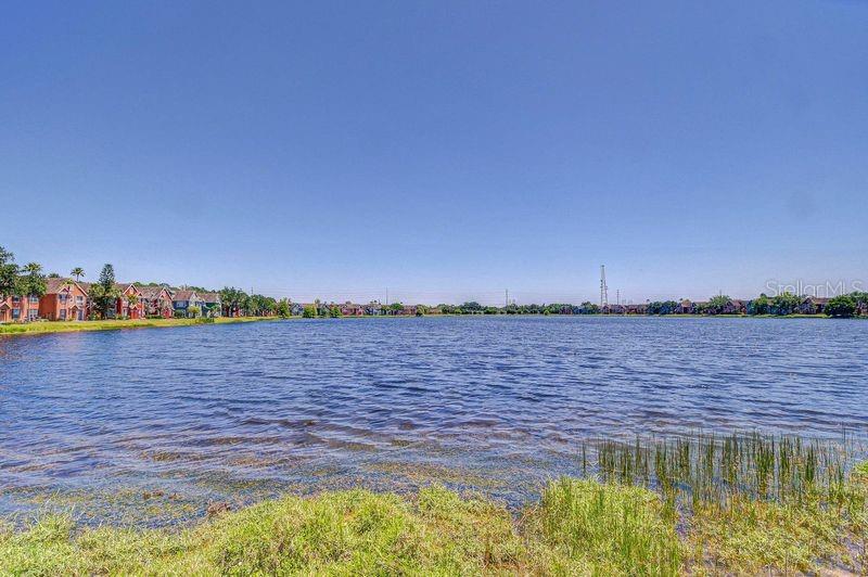 9304 LAKE CHASE ISLAND WAY, TAMPA, FL — photo 8