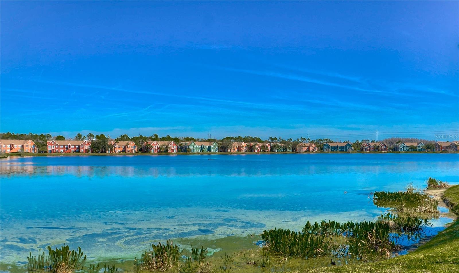 9304 LAKE CHASE ISLAND WAY, TAMPA, FL — photo 56