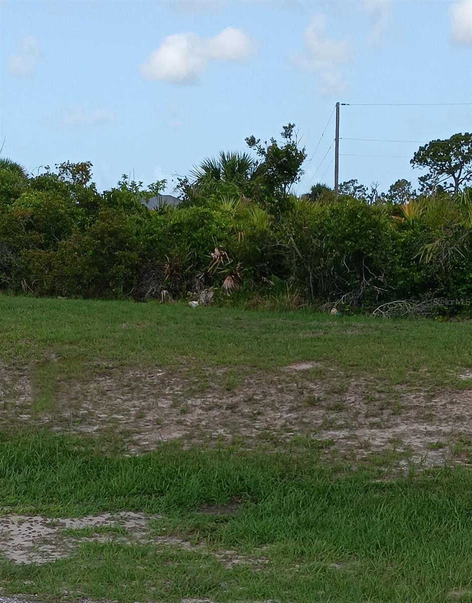 353 BAYTREE DR, ROTONDA WEST, FL — photo 3