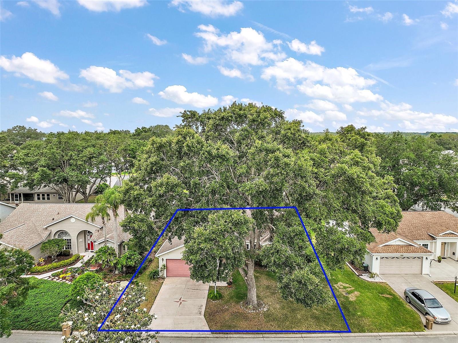 25333 RIVER CREST DR, LEESBURG, FL — photo 5