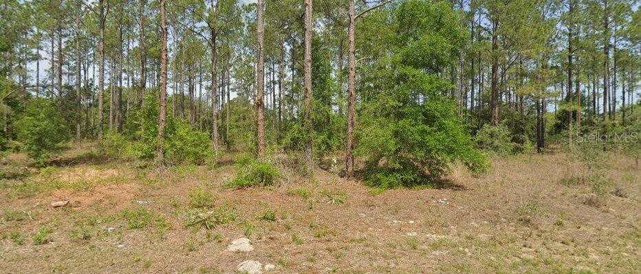 10940 N LETTERWOOD WAY, DUNNELLON, FL