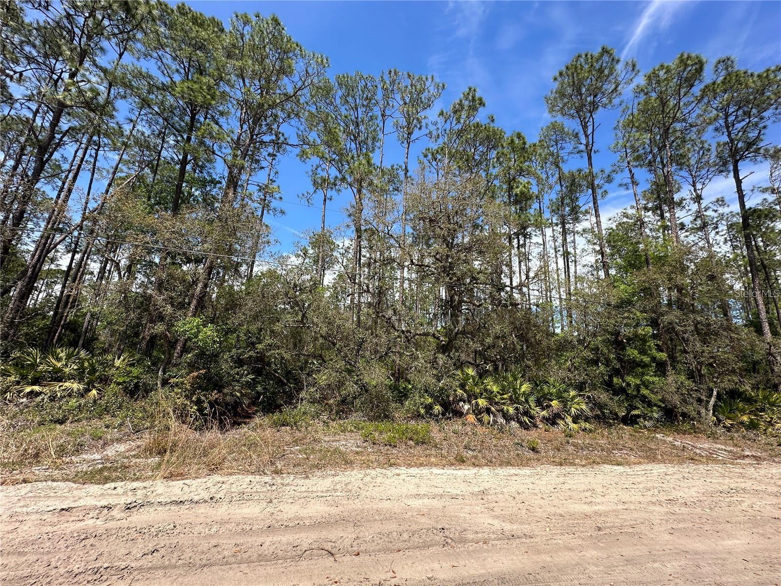 206 HUDSON ST, INTERLACHEN, FL — photo 2