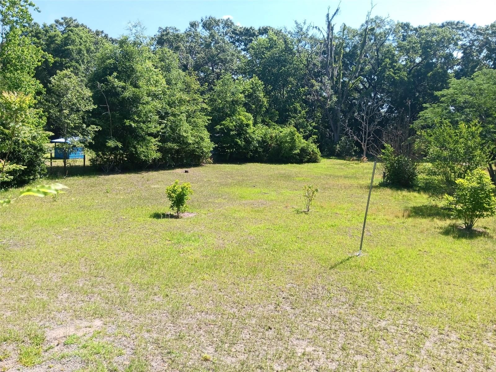 2531 NE 167TH AVE, WILLISTON, FL — photo 6