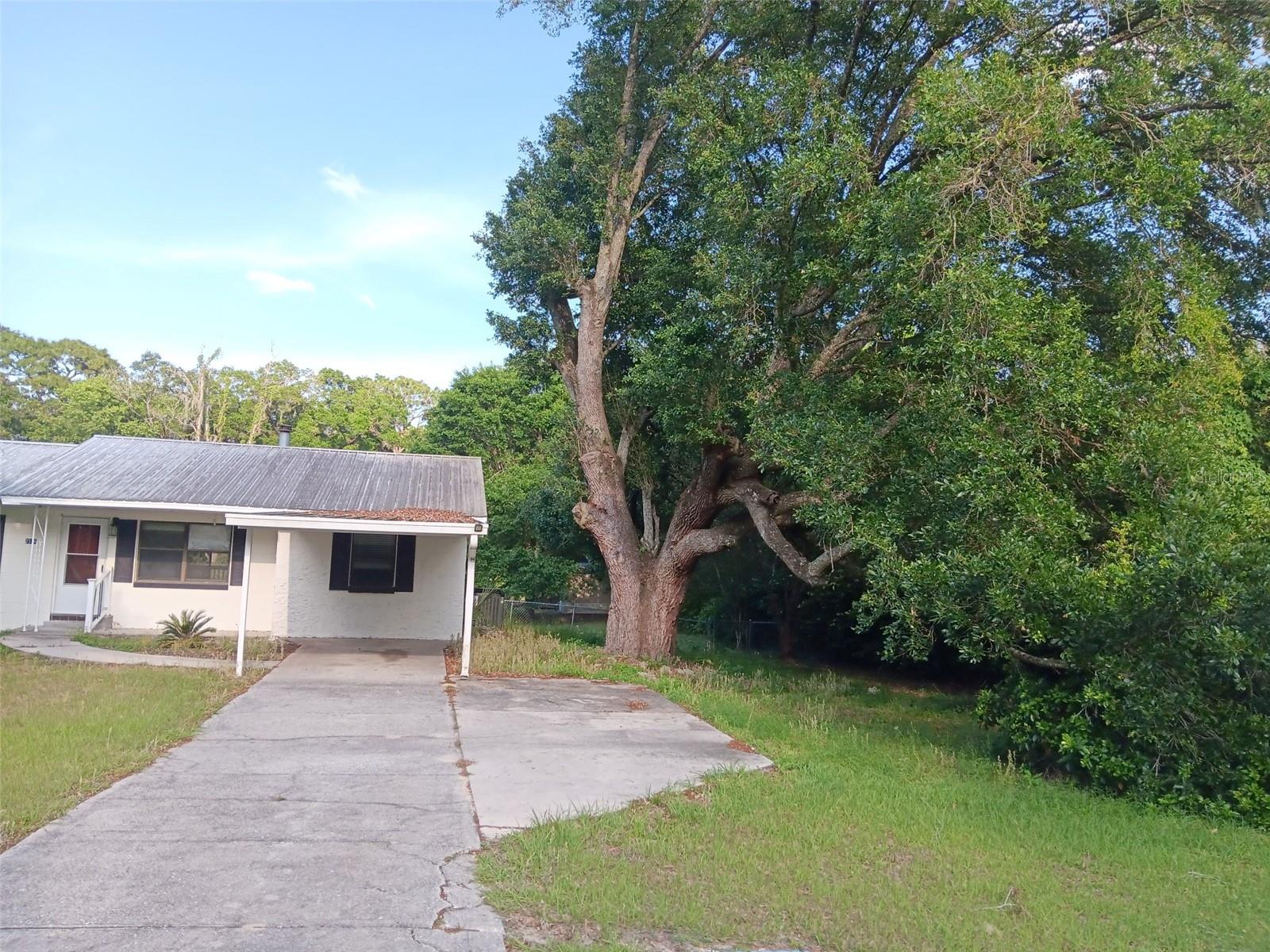 2531 NE 167TH AVE, WILLISTON, FL — photo 10