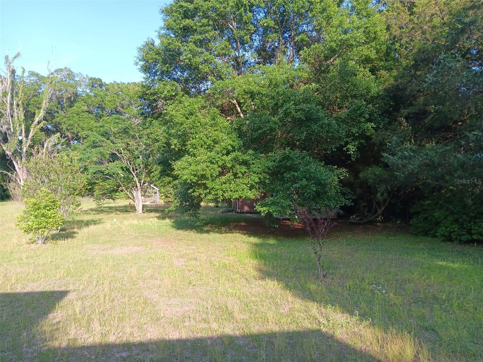 2531 NE 167TH AVE, WILLISTON, FL — photo 11