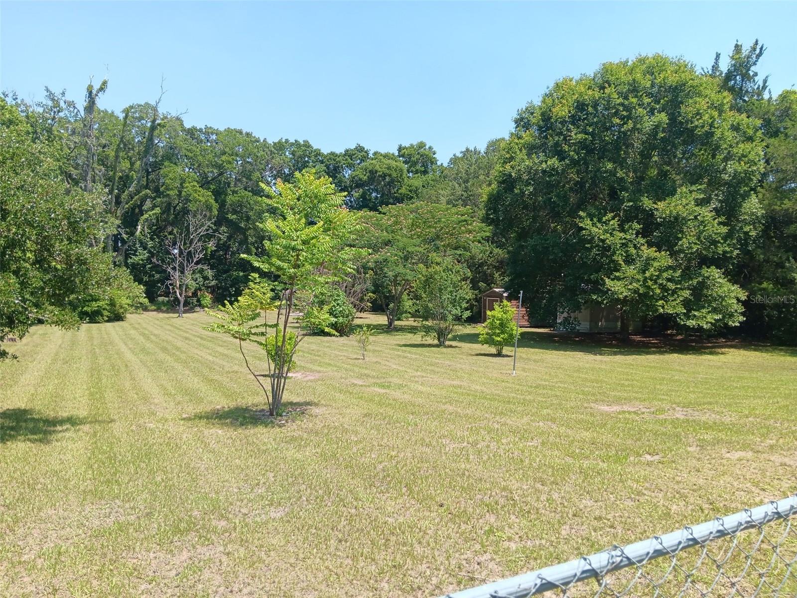 2531 NE 167TH AVE, WILLISTON, FL — photo 7